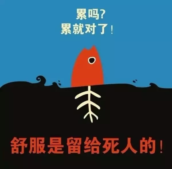 奋斗句子1