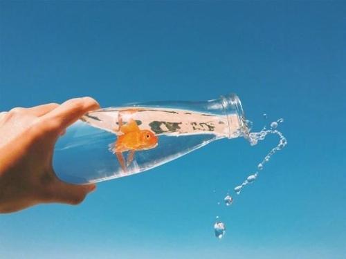独特的句子