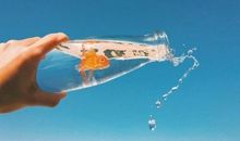 独一无二的句子