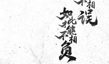 直接抒情的句子