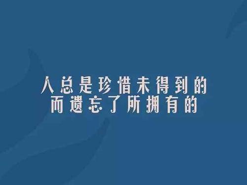最深情的一句话
