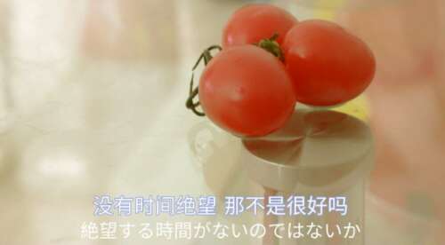 阳光简短励志唯美句子 励志的句子致自己简短 2