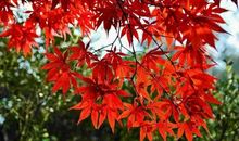 让人心动的句子