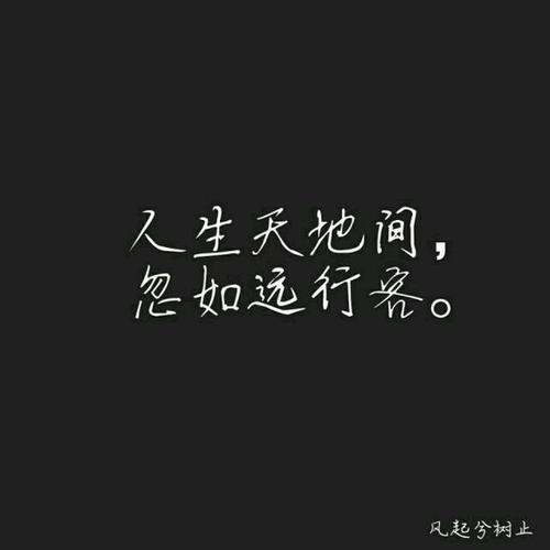 爱诗