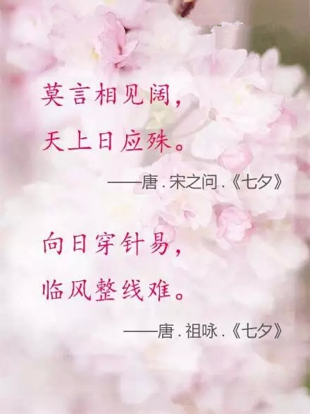 七夕情感语录