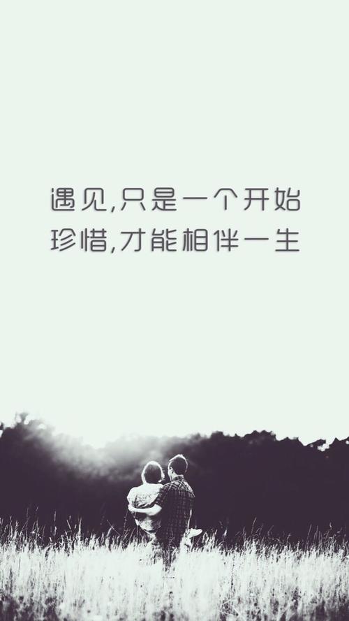 青春行情