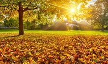 秋天问候短信大全