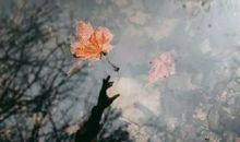 表示对对方失望的句子