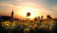 积极上进心情语录