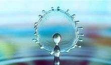 21条最新经典语录