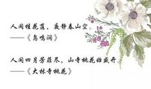 描写江南春天的句子