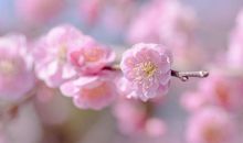 能看见她很开心的句子 见到爱人很开心的句子