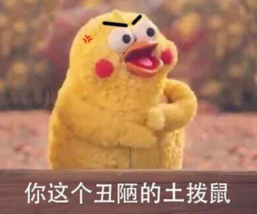 适合发朋友圈的沙雕说说 笑死人不偿命的搞笑句子
