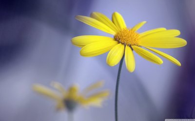 简短句子供比较