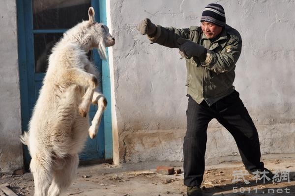 超级幽默的座右铭
