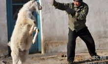 超幽默的座右铭