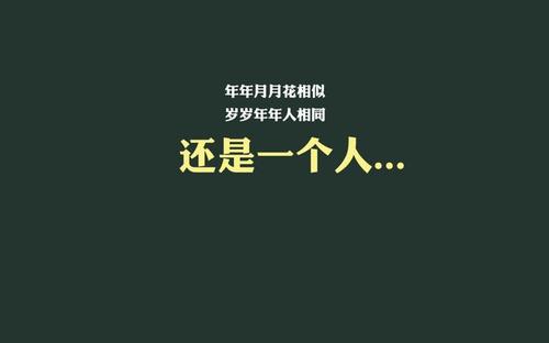 16个有趣的报价