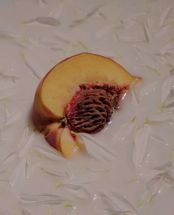 15.三个杯子和两个淡酒，他来晚了，风急着怎么可能对他不利呢！过去的鹅很伤心，但他们是老朋友。