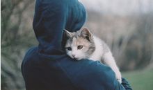 如果活对了,一次也就够了