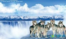 团队正能量语录