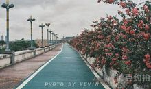 形容自己开心和失落的句子 又开心又难过的句子