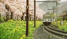 生命的抒情句子