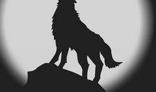 战狼队呼口号大全