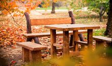 关于2015精选优美句子