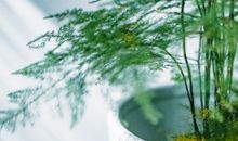 形容今晚这么开心的句子 表达今夜很开心的句子