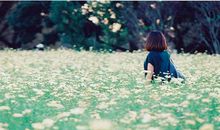 时间在不停的过,有一天你会明白