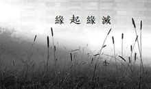 缘起缘灭的经典句子