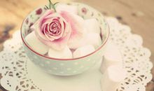 知乎感动亲情句子