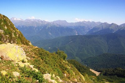 10.不要因为忙碌而疏远，更不用说因为时间，秋花和冬天的雪，夏天和秋天的冲刷而忘记你了，虽然季节变了，我的关注也没有变，祝你硕果累累秋季。