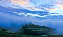 关于晚霞的句子