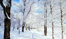 表达大家庭亲情的句子