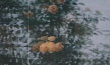 致自己一路走来的句子 一路走来的经典说说心情