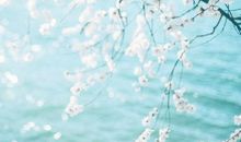 一家四口亲情的句子