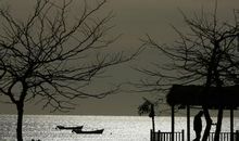 彷徨的抒情句子