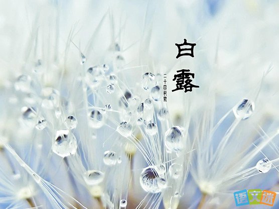 白鹿加持2