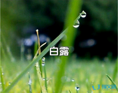 白鹿加持1
