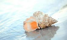 祝领导旅游开心的句子