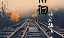 徘徊的抒情句子