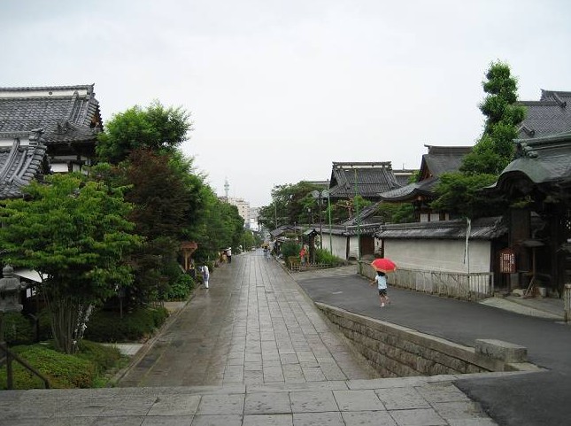 乡村经典语录