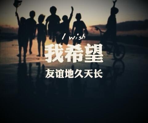 友谊行情