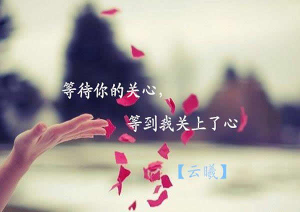 等待您的关心，直到我关闭我的心