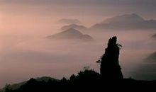 我不是王者，但是我骨子里