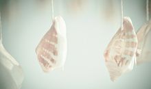 过往的抒情句子