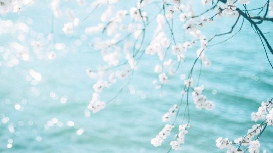 感悟亲情浓厚的句子