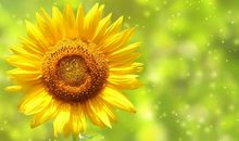 对感情亲情绝望的句子说说心情