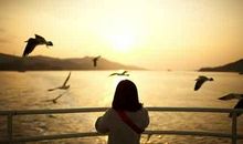 抒情的句子大全